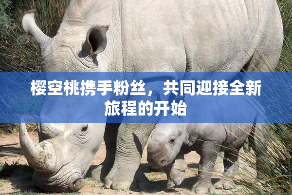 樱空桃携手粉丝，共同迎接全新旅程的开始