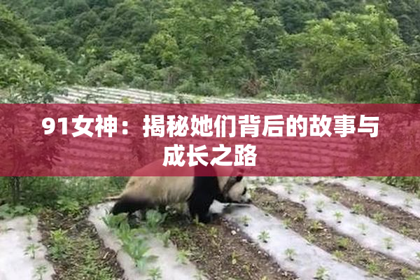 91女神：揭秘她们背后的故事与成长之路