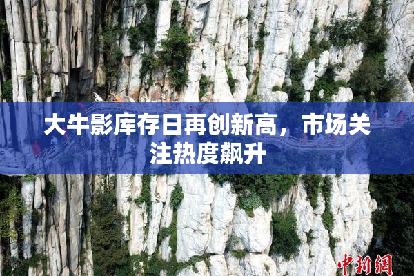 大牛影库存日再创新高，市场关注热度飙升