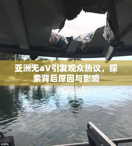 亚洲无aV引发观众热议，探索背后原因与影响