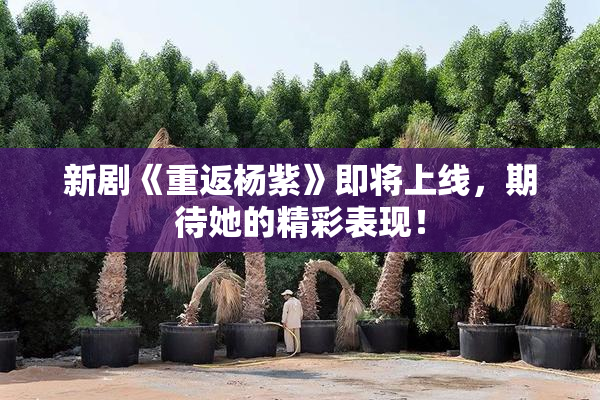 新剧《重返杨紫》即将上线，期待她的精彩表现！