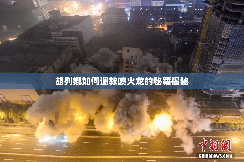 胡列娜如何调教喷火龙的秘籍揭秘