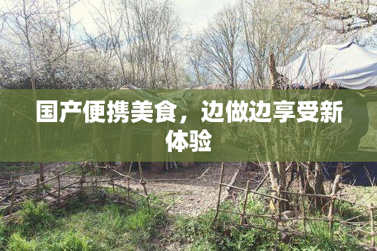 国产便携美食，边做边享受新体验