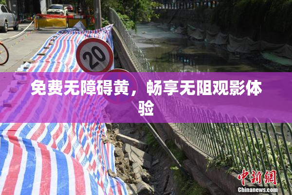 免费无障碍黄，畅享无阻观影体验