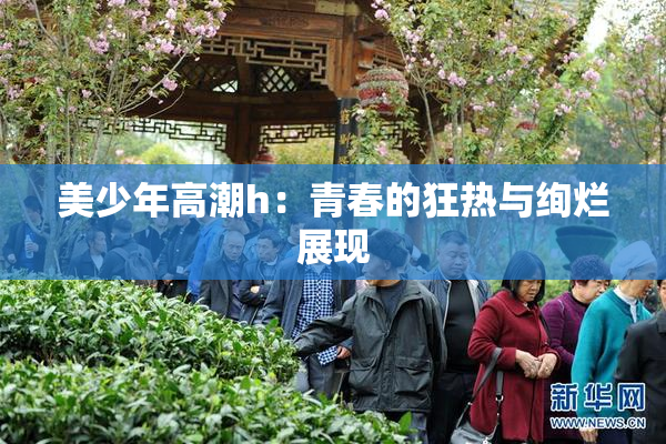 美少年高潮h：青春的狂热与绚烂展现
