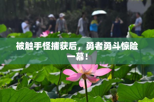 被触手怪捕获后，勇者勇斗惊险一幕！