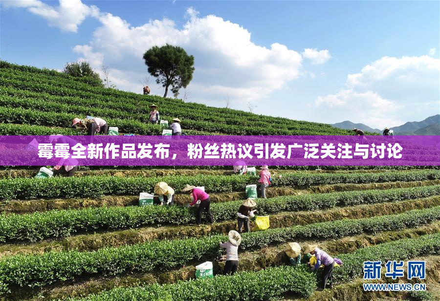 霉霉全新作品发布，粉丝热议引发广泛关注与讨论