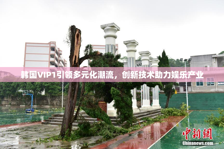 韩国VIP1引领多元化潮流，创新技术助力娱乐产业