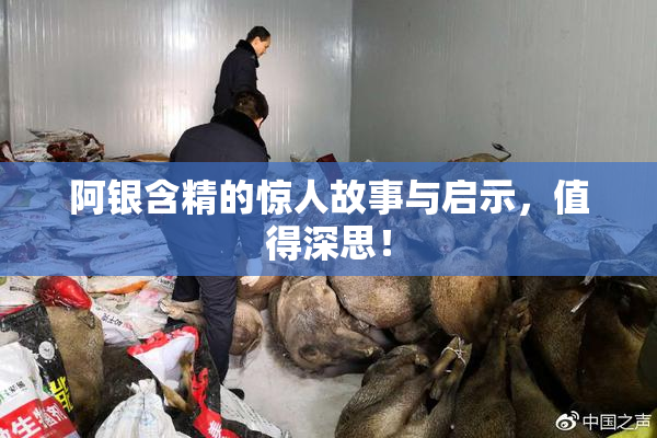 阿银含精的惊人故事与启示，值得深思！