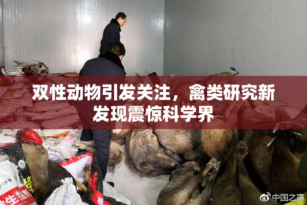 双性动物引发关注，禽类研究新发现震惊科学界