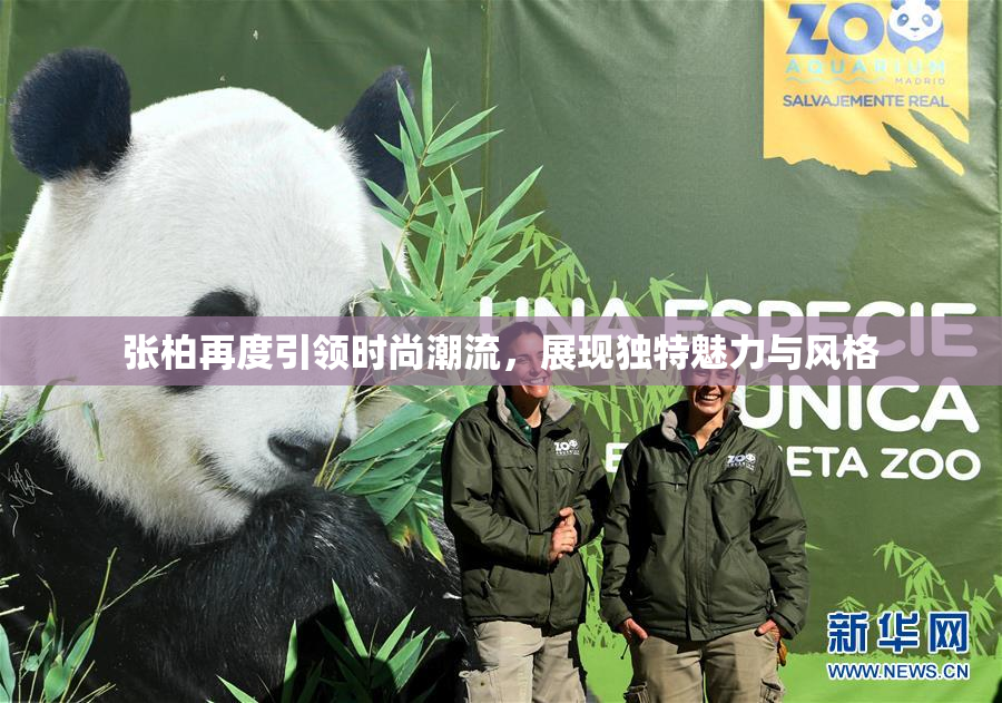 张柏再度引领时尚潮流，展现独特魅力与风格