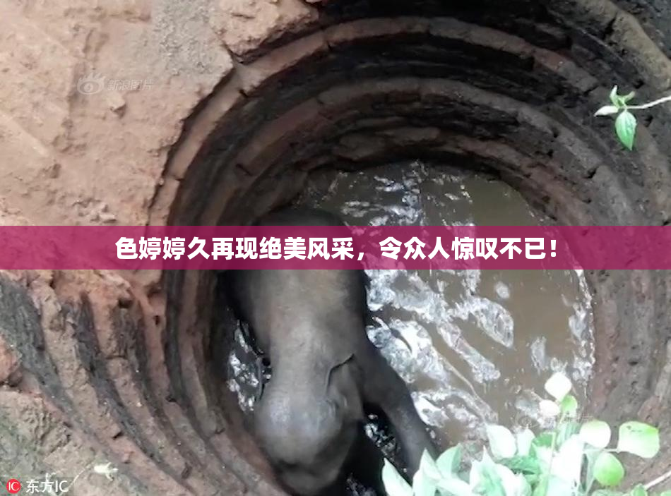色婷婷久再现绝美风采，令众人惊叹不已！