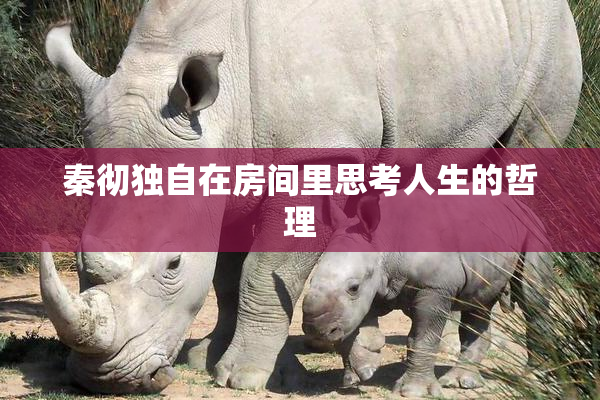 秦彻独自在房间里思考人生的哲理