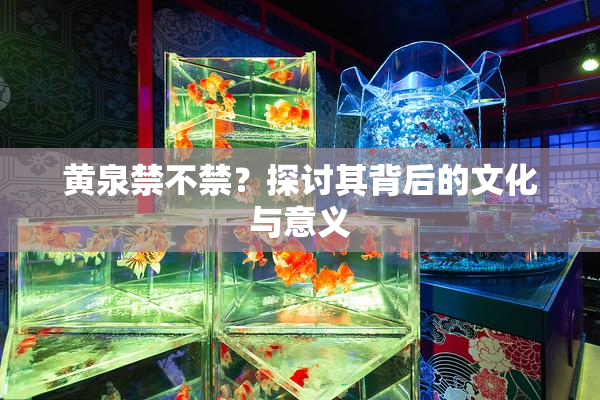 黄泉禁不禁？探讨其背后的文化与意义