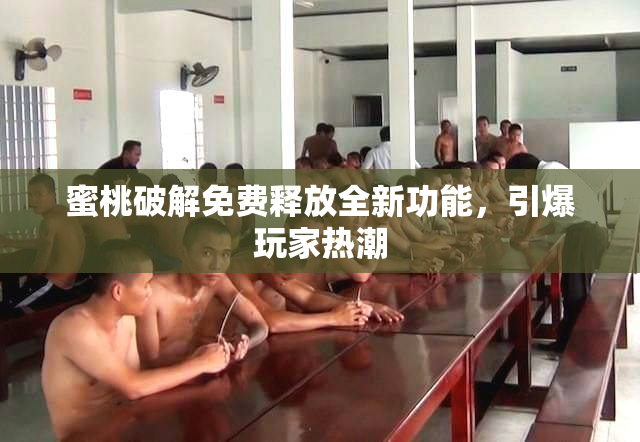 蜜桃破解免费释放全新功能，引爆玩家热潮