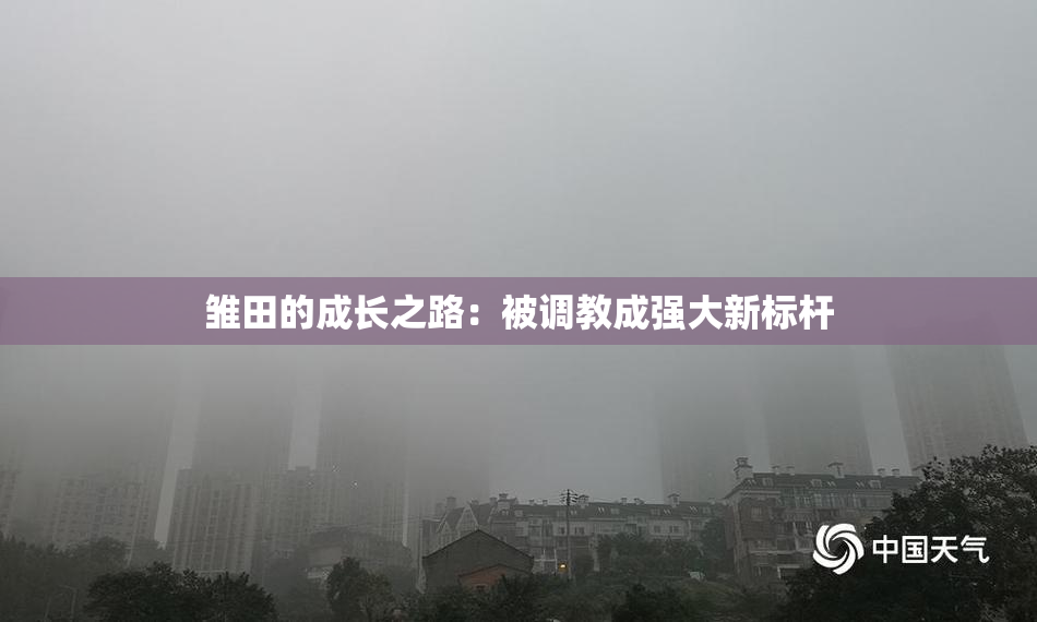 雏田的成长之路：被调教成强大新标杆