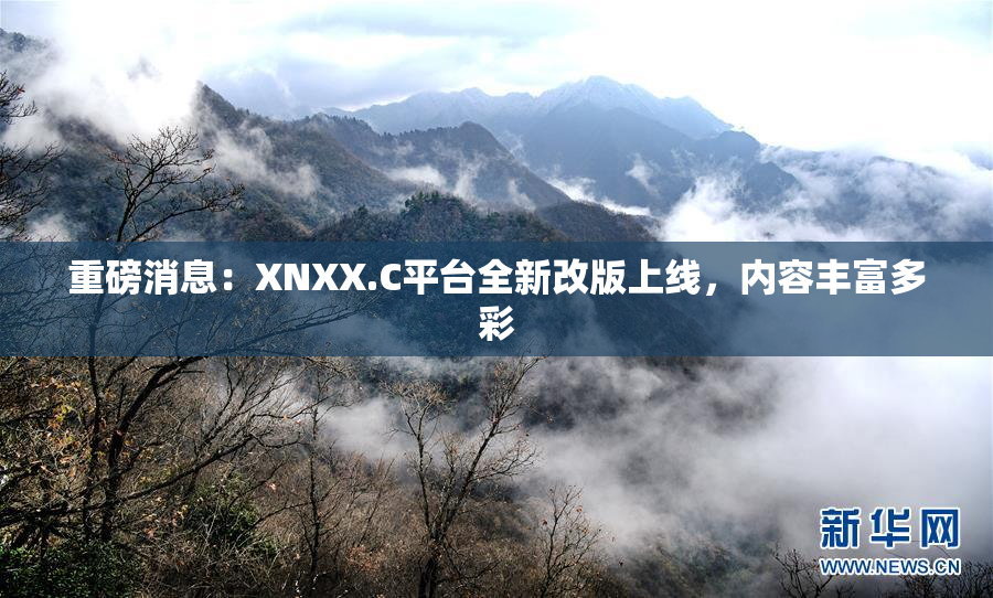 重磅消息：XNXX.C平台全新改版上线，内容丰富多彩