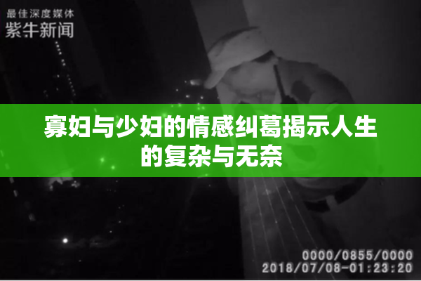 寡妇与少妇的情感纠葛揭示人生的复杂与无奈