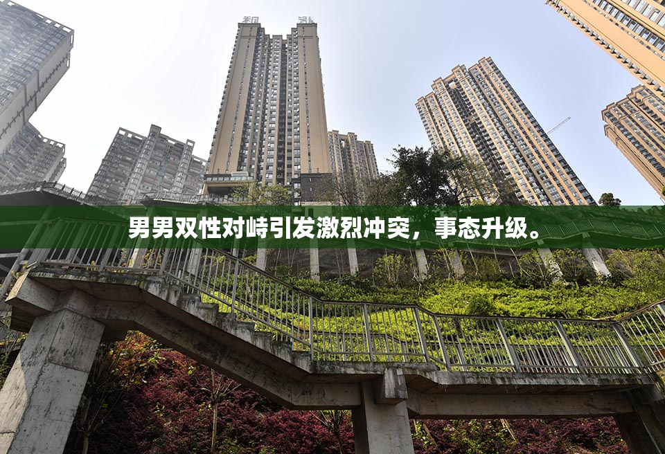 男男双性对峙引发激烈冲突，事态升级。