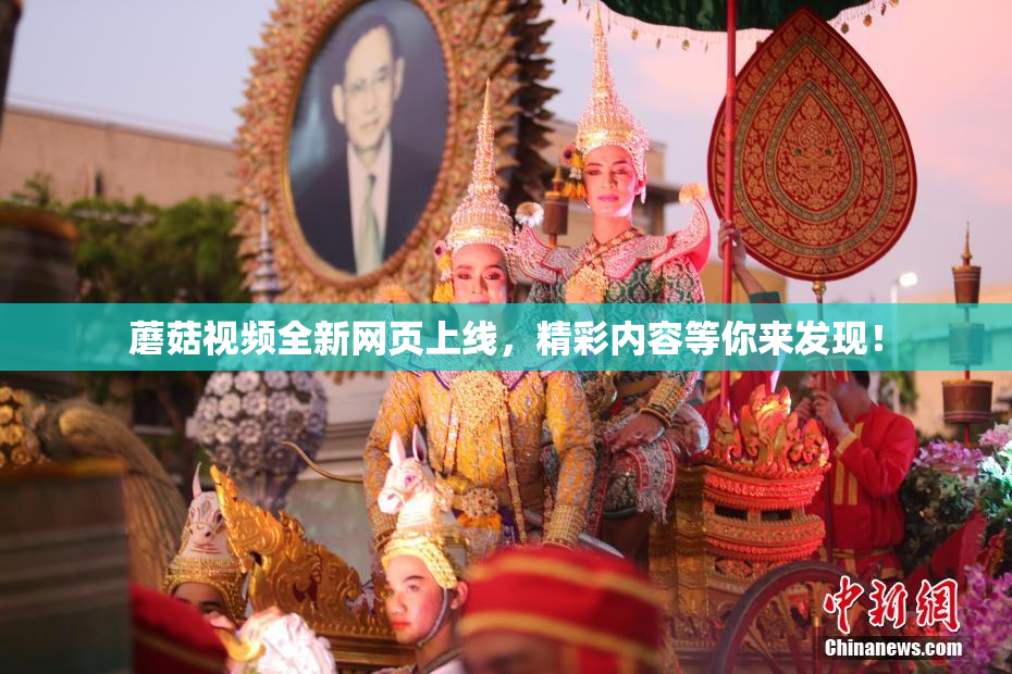 蘑菇视频全新网页上线，精彩内容等你来发现！