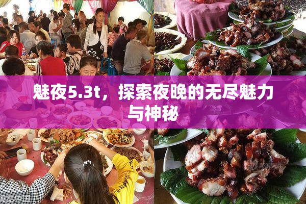 魅夜5.3t，探索夜晚的无尽魅力与神秘