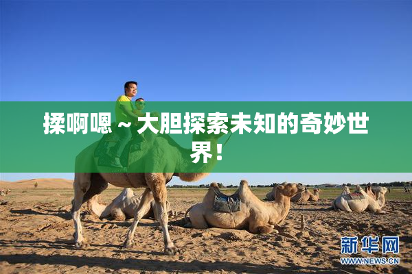 揉啊嗯～大胆探索未知的奇妙世界！