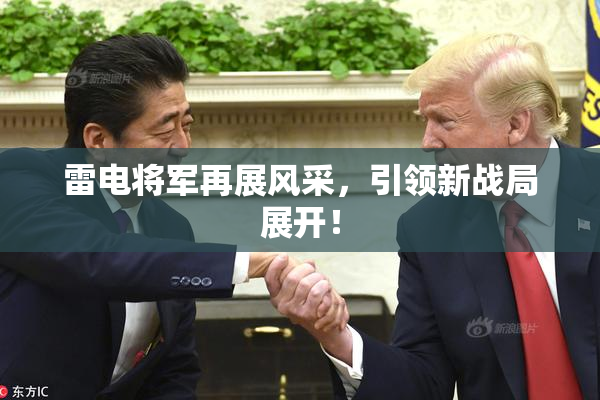 雷电将军再展风采，引领新战局展开！