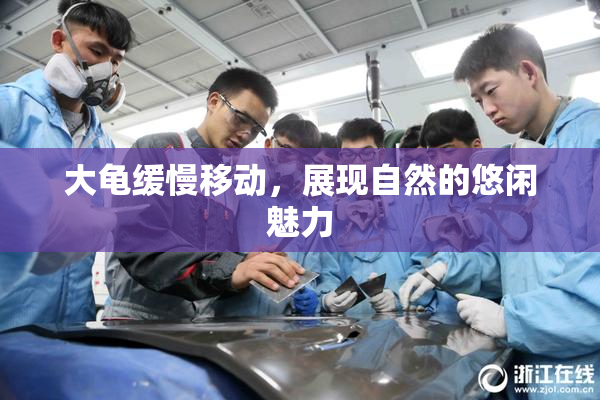 大龟缓慢移动，展现自然的悠闲魅力