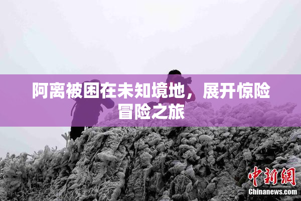 阿离被困在未知境地，展开惊险冒险之旅