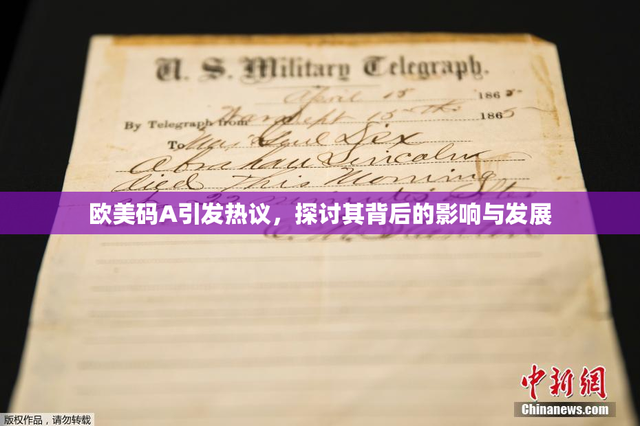 欧美码A引发热议，探讨其背后的影响与发展