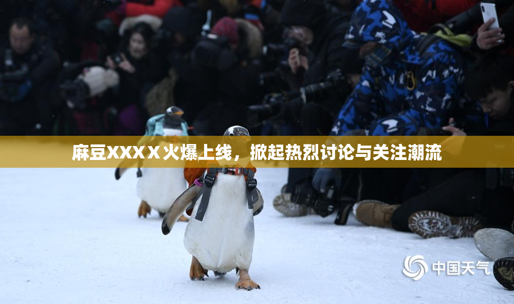 麻豆XXXⅩ火爆上线，掀起热烈讨论与关注潮流