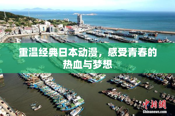 重温经典日本动漫，感受青春的热血与梦想