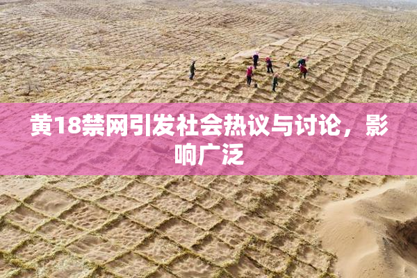 黄18禁网引发社会热议与讨论，影响广泛