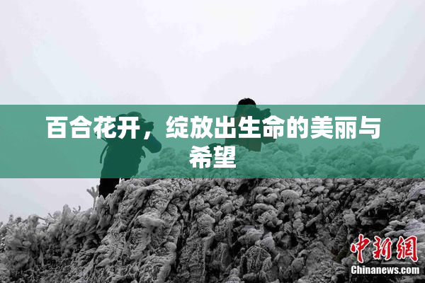 百合花开，绽放出生命的美丽与希望