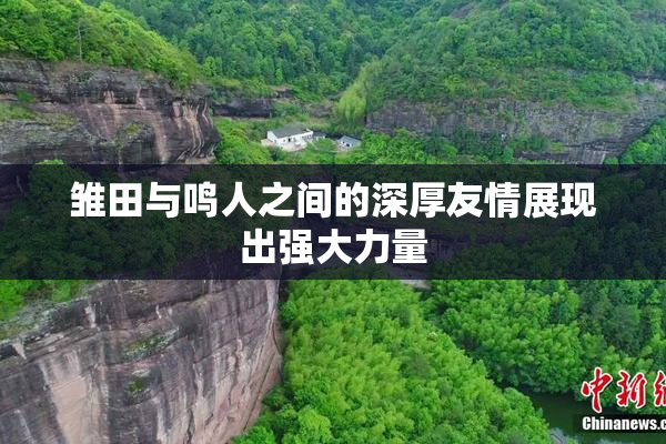 雏田与鸣人之间的深厚友情展现出强大力量