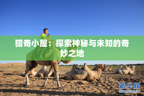 猎奇小屋：探索神秘与未知的奇妙之地