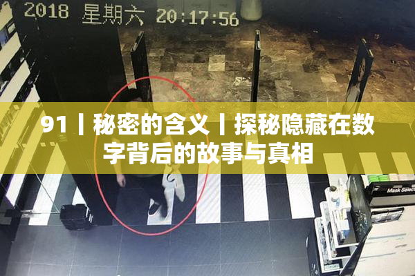 91丨秘密的含义丨探秘隐藏在数字背后的故事与真相
