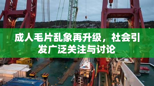 成人毛片乱象再升级，社会引发广泛关注与讨论