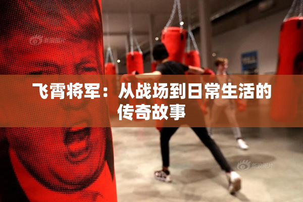 飞霄将军：从战场到日常生活的传奇故事