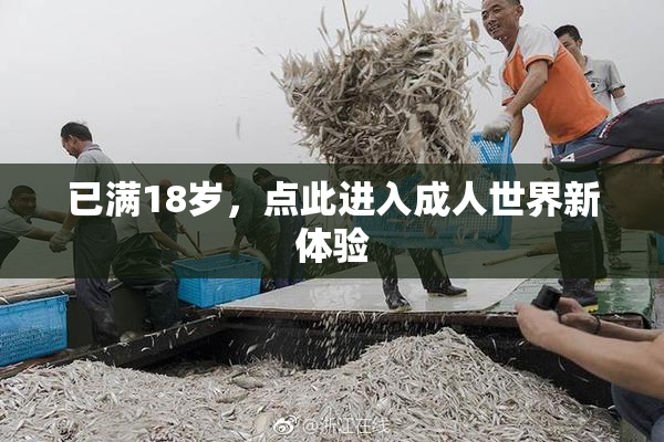 已满18岁，点此进入成人世界新体验