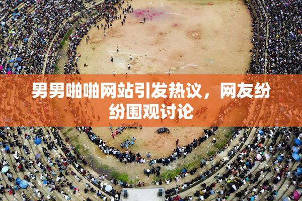 男男啪啪网站引发热议，网友纷纷围观讨论