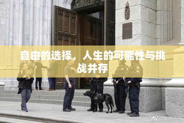 自由的选择，人生的可能性与挑战并存