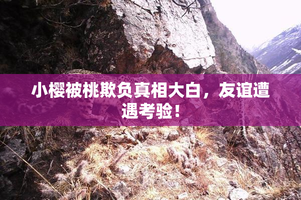 小樱被桃欺负真相大白，友谊遭遇考验！