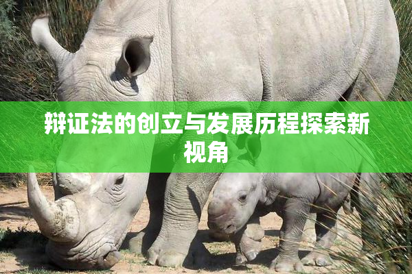 辩证法的创立与发展历程探索新视角