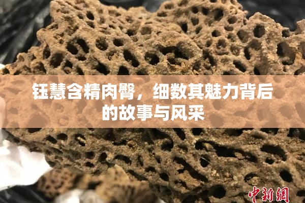 钰慧含精肉臀，细数其魅力背后的故事与风采