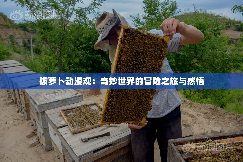拔萝卜动漫观：奇妙世界的冒险之旅与感悟