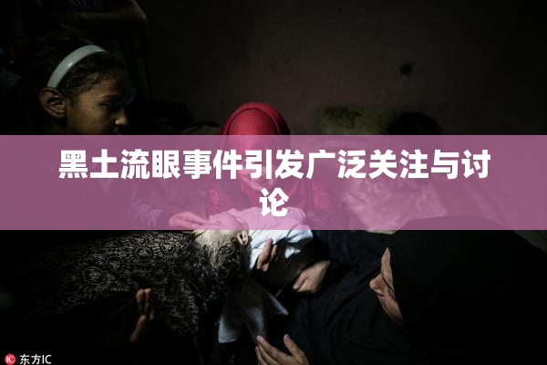 黑土流眼事件引发广泛关注与讨论