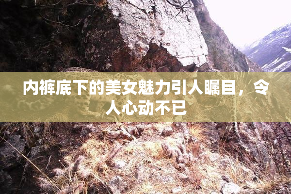 内裤底下的美女魅力引人瞩目，令人心动不已