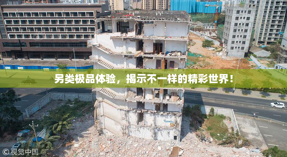 另类极品体验，揭示不一样的精彩世界！