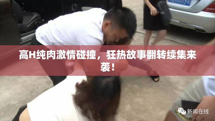 高H纯肉激情碰撞，狂热故事翻转续集来袭！